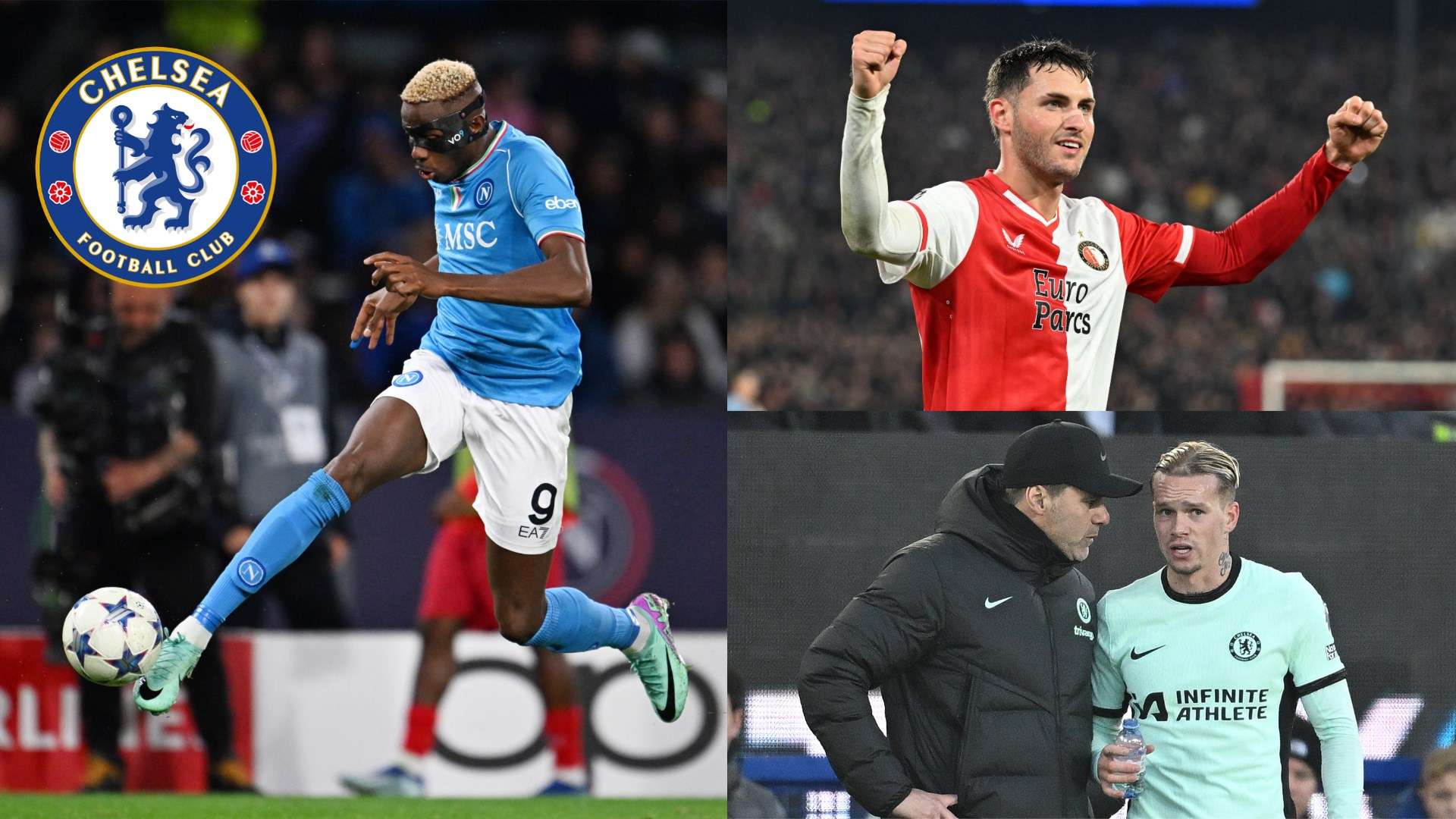 这些发现都 这些发现都